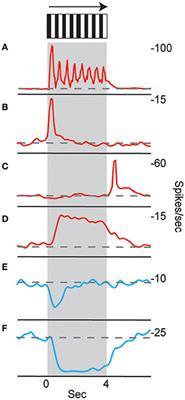 Spatial Navigation and the Central Complex: Sensory Acquisition, Orientation, and Motor Control